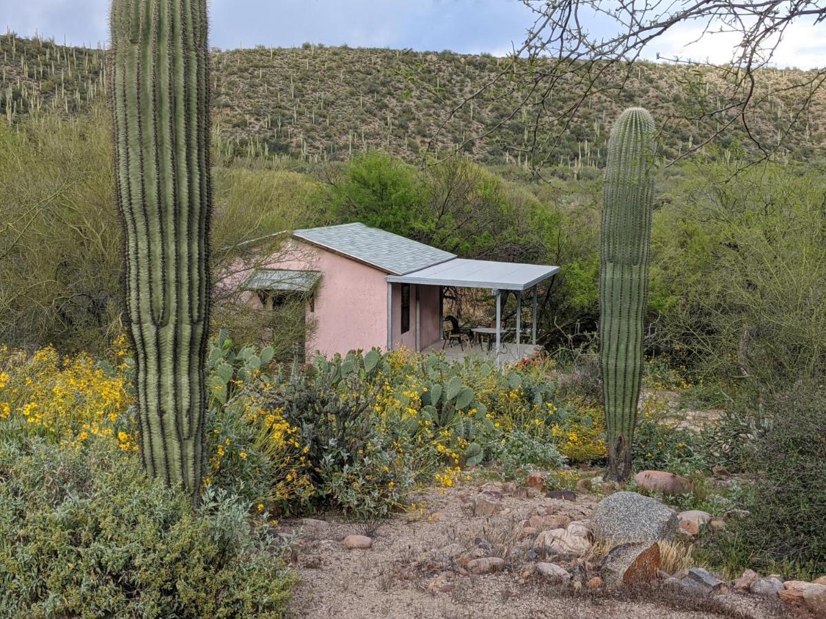 Saguaro Lake Ranch Fountain Hills Εξωτερικό φωτογραφία