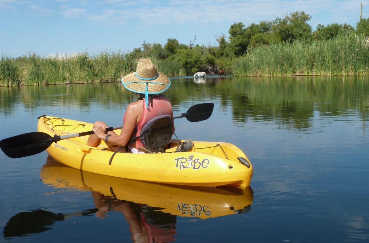 Saguaro Lake Ranch Fountain Hills Εξωτερικό φωτογραφία